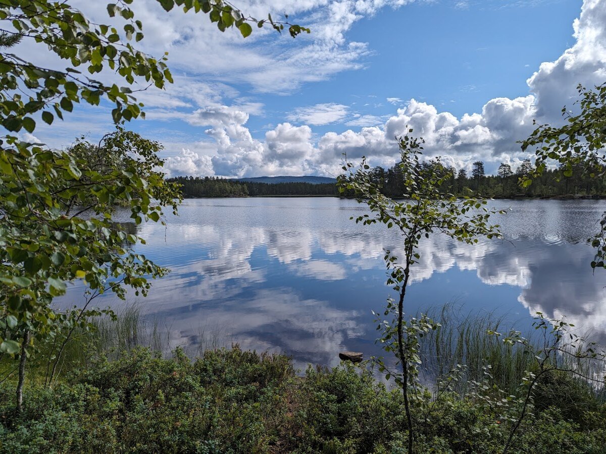 Mirror-still woodland lake reflecting summer clouds and green forest trees in Norway